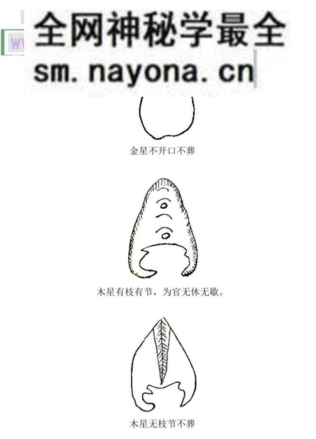 《 杨公倒祖秘本》