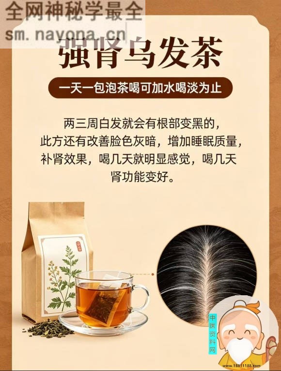 强肾乌发茶秘方