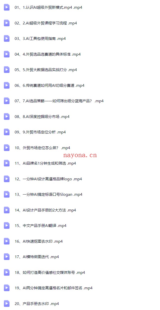 新版 David老师最新AI闪电做外贸【Ag-0225】