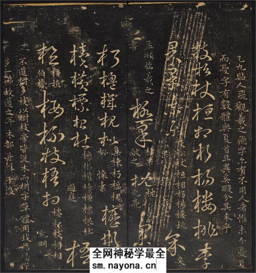草诀辨疑.范文明撰集.集古草诀.米芾集.王羲之字.清拓本 - 第20页预览图