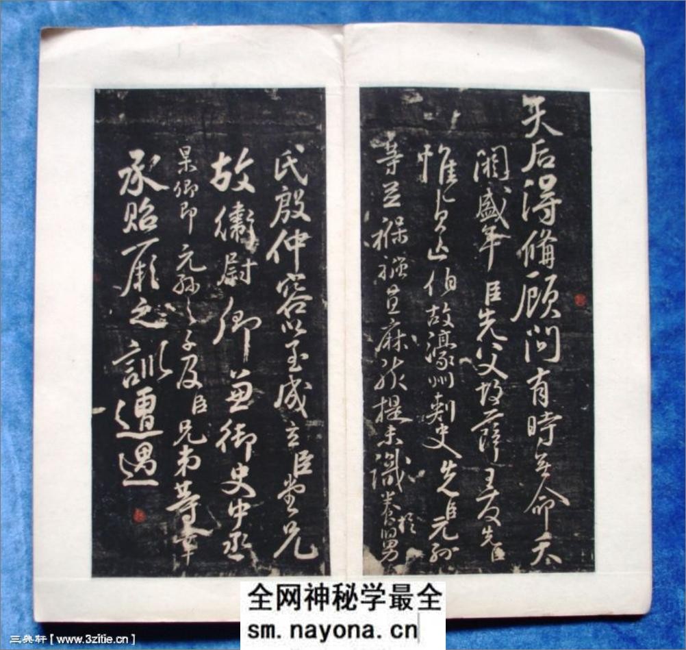 (唐)颜真卿行书三表册 - 第4页预览图