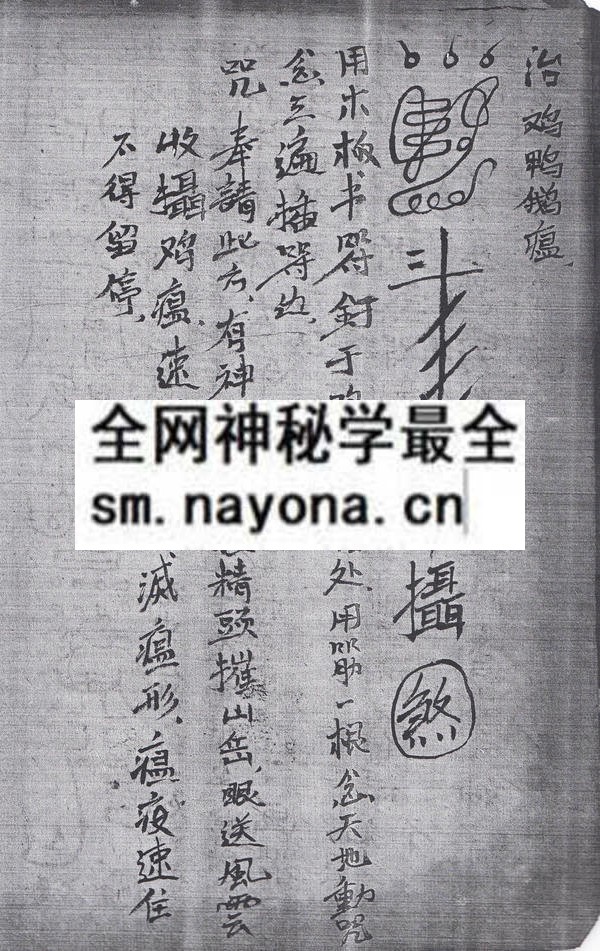 排教符秘  (电子版）