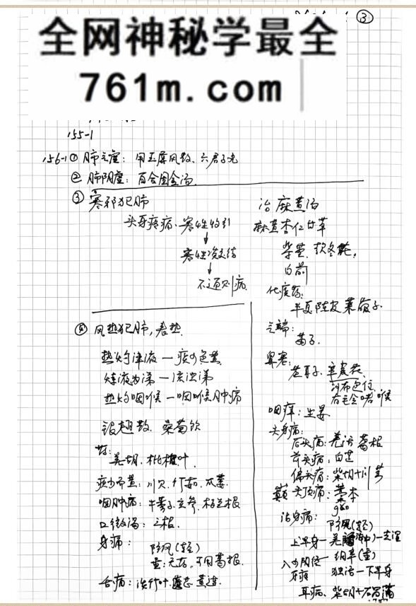 《中医学习笔记（2册）》