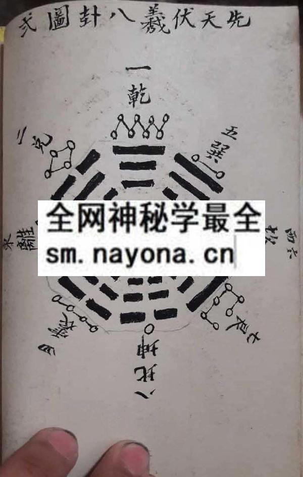 吕山良金罗汉  (电子版)