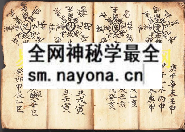 1742731189983579.jpg 地司燃灯内秘 (原书)