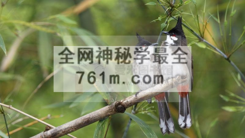 【7天大课】真核生物基因组精细注释