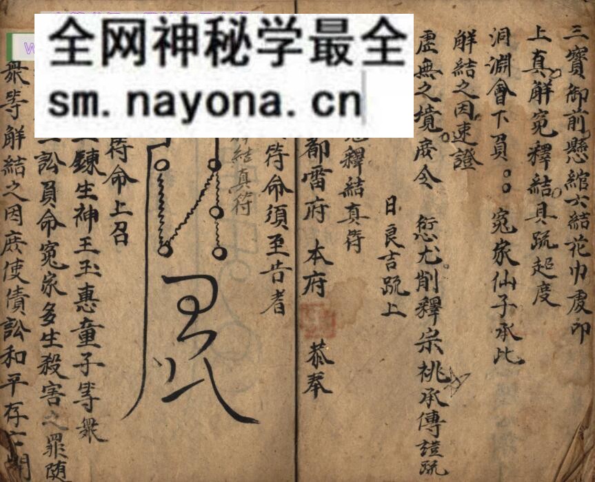 《延生行移》百度网盘下载