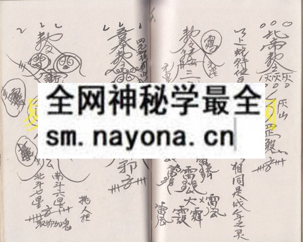 1742974953243628.jpg 符书全集(黄法坤) (原书)