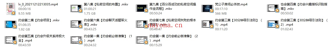 梵公子系列《约会加速器》