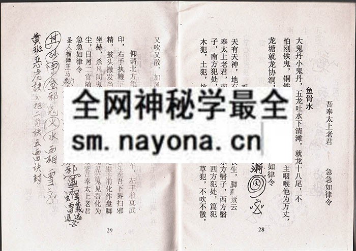 1742732000320368.jpg 灯火图书(有符) (电子版)