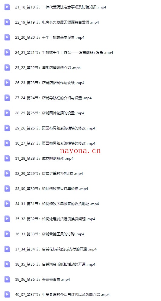 电商理论与实操从入门到精通 新手篇+进阶篇【Ag-0165】
