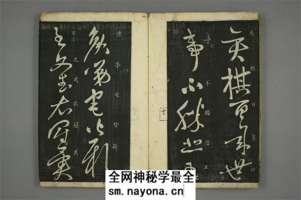 (唐)怀素草书秋兴八首(日延保版) - 第12页预览图