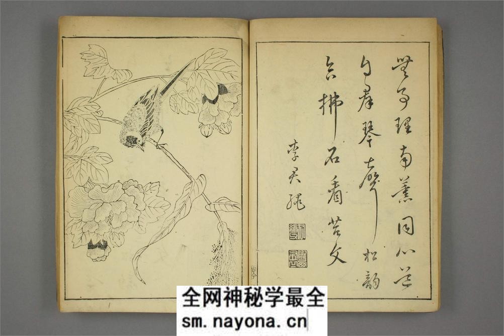 唐觧元彷古今画谱.唐寅画.明黄凤池辑 - 第20页预览图