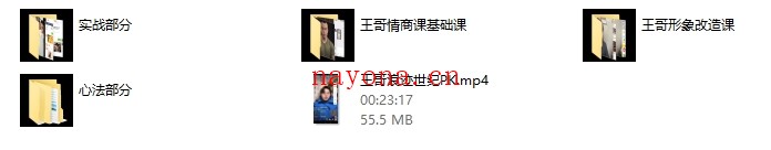 王哥私教课程