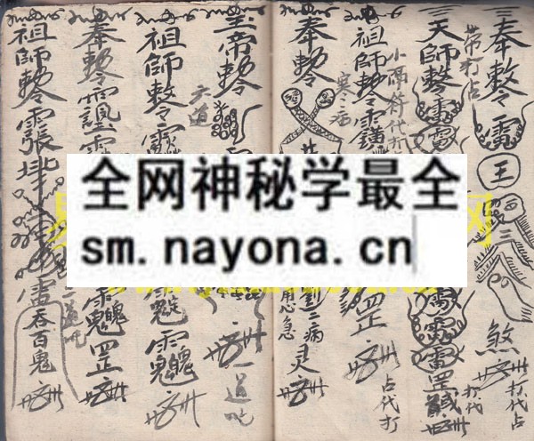 1742974482756989.jpg 符书(看灯法) (原书)
