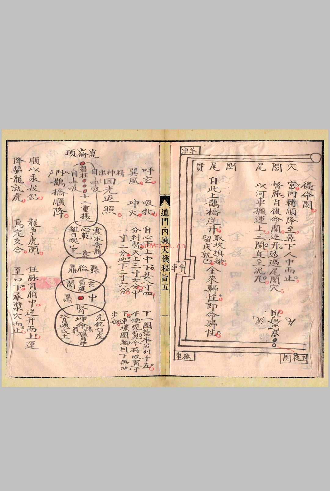 道门内炼天机秘旨