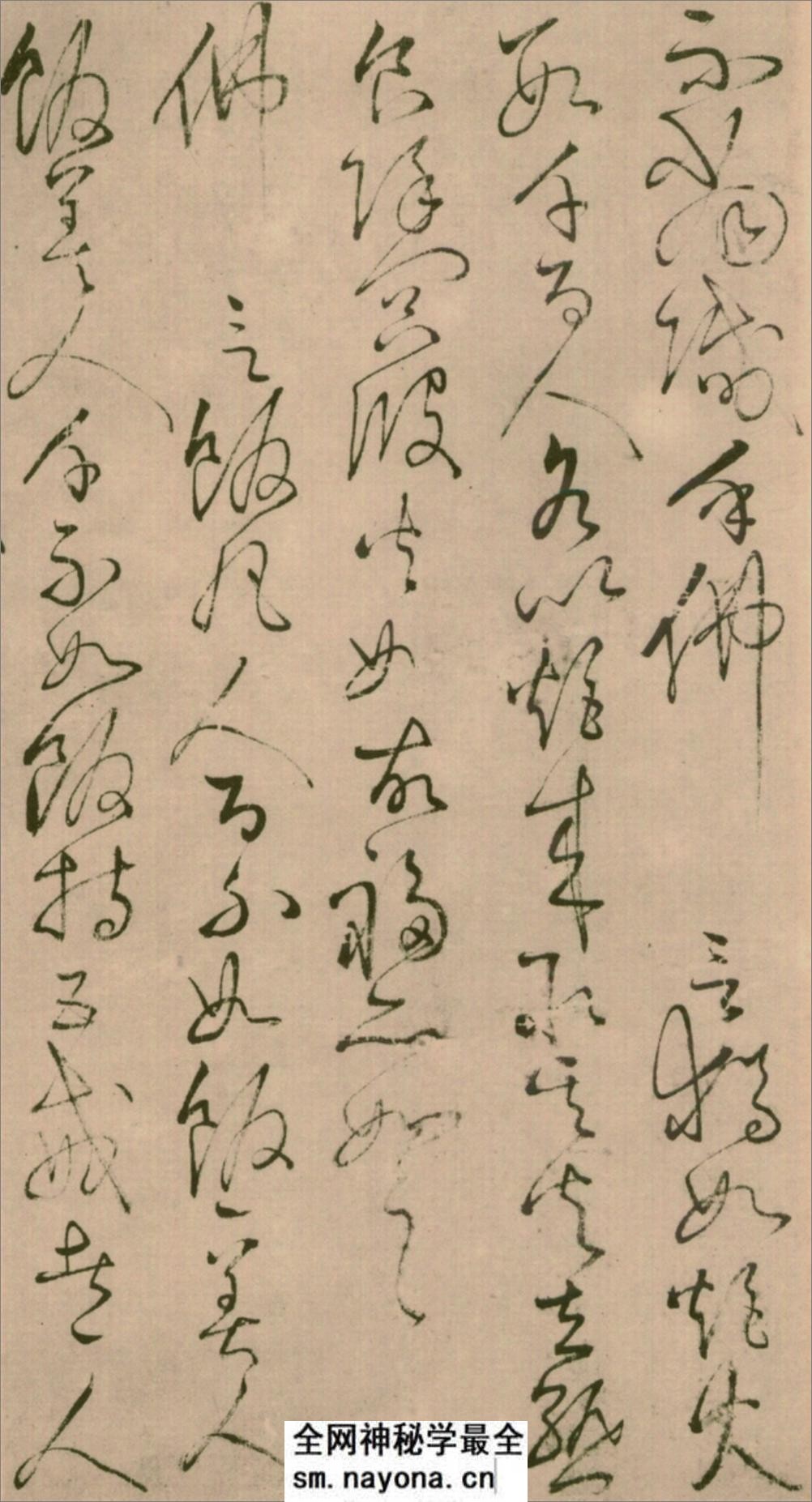 怀素草书《四十二章经》 - 第13页预览图