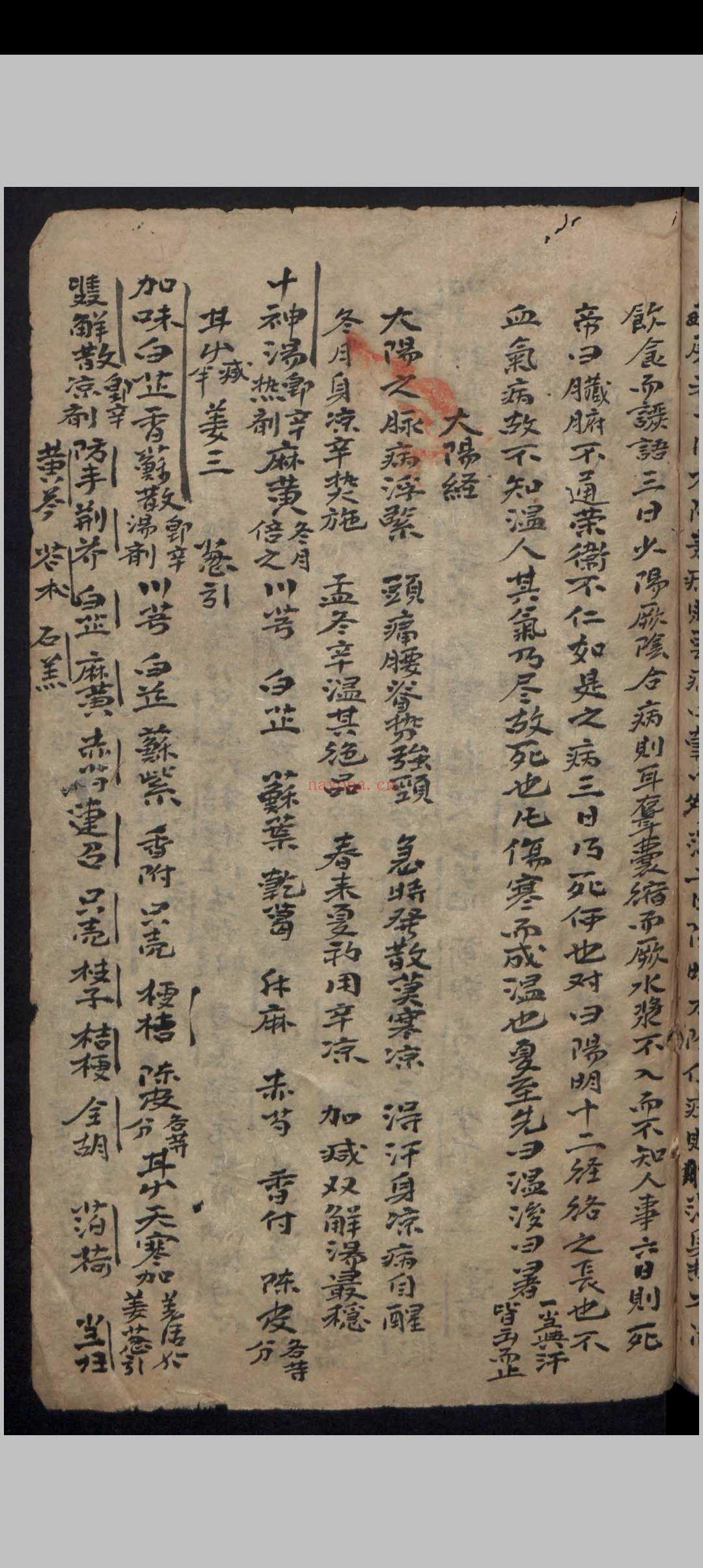 杂抄医书 , 1900