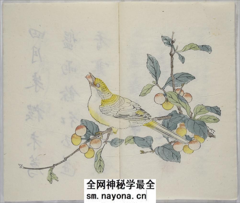 十竹斋书画谱.16册.明胡正言辑.清嘉庆22年芥子园重刊胡氏彩色套印本.1817年 - 第16页预览图