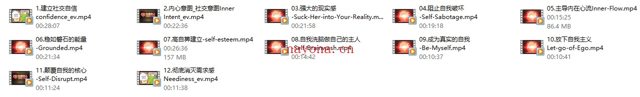 瑞恩《引燃雄心》标准版