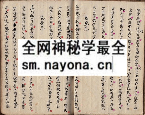 1753095279167966.jpg 茅山集吉堂法本3 (原书)