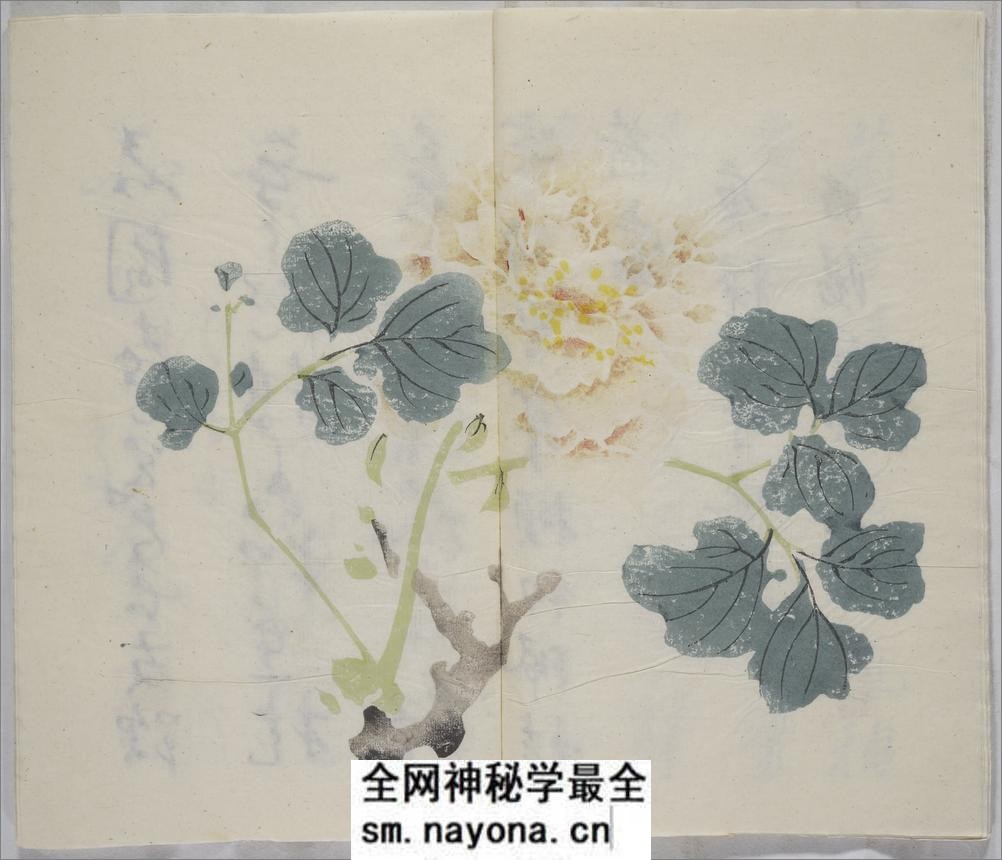 十竹斋书画谱.16册.明胡正言辑.清嘉庆22年芥子园重刊胡氏彩色套印本.1817年 - 第12页预览图