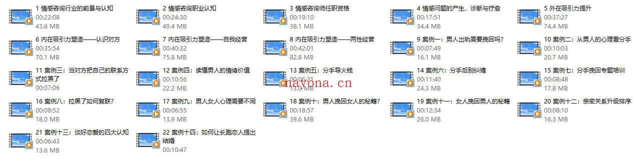久久情感师资计划:培养情感咨询师【22节】