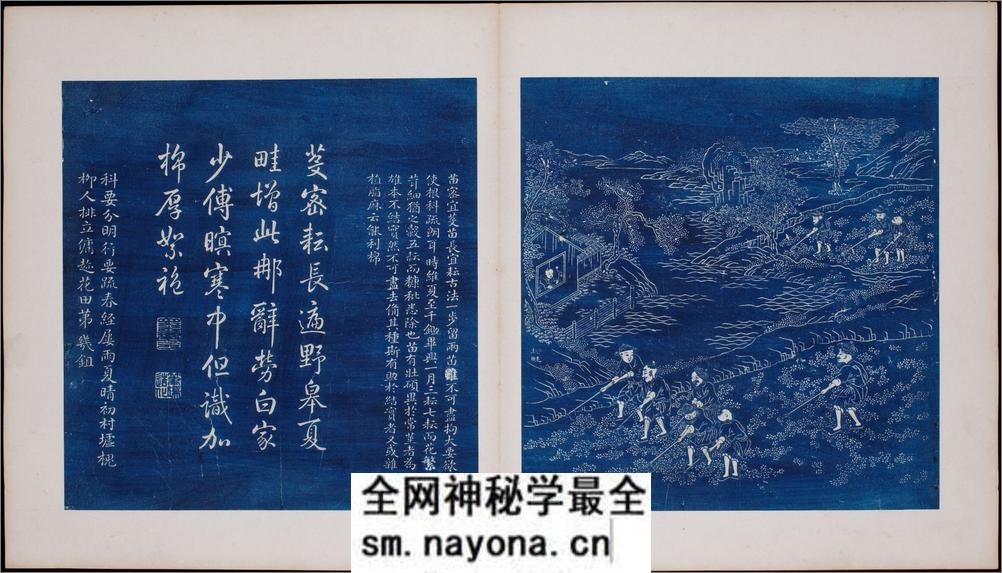 御题棉花图.方观承画.乾隆题诗.蓝拓本.1765年 - 第7页预览图