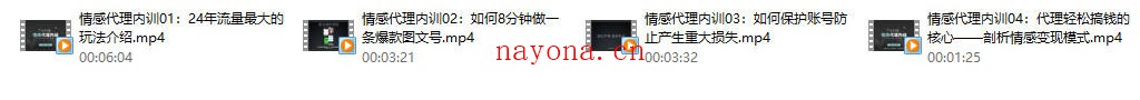 社交光谱-院长《情感代理内训计划》