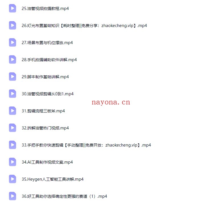 阿蔺Leo跨境油管视频实训营3.0实战课程【Ag-0245】