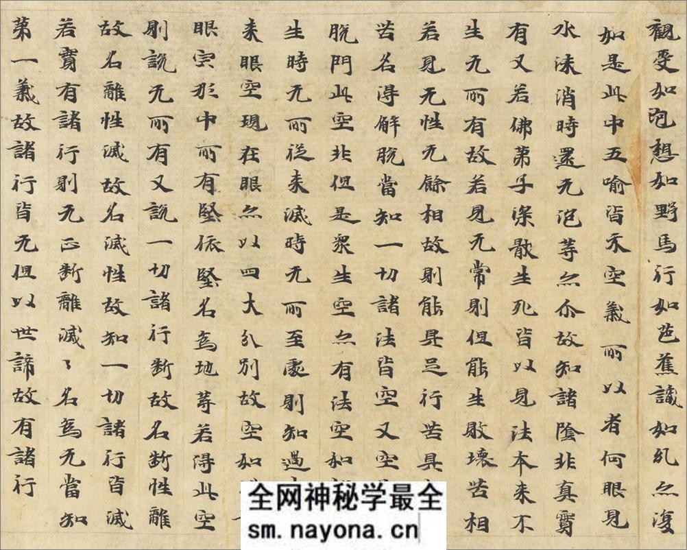 (北魏)刘广周楷书诚实论卷经第十四 - 第18页预览图