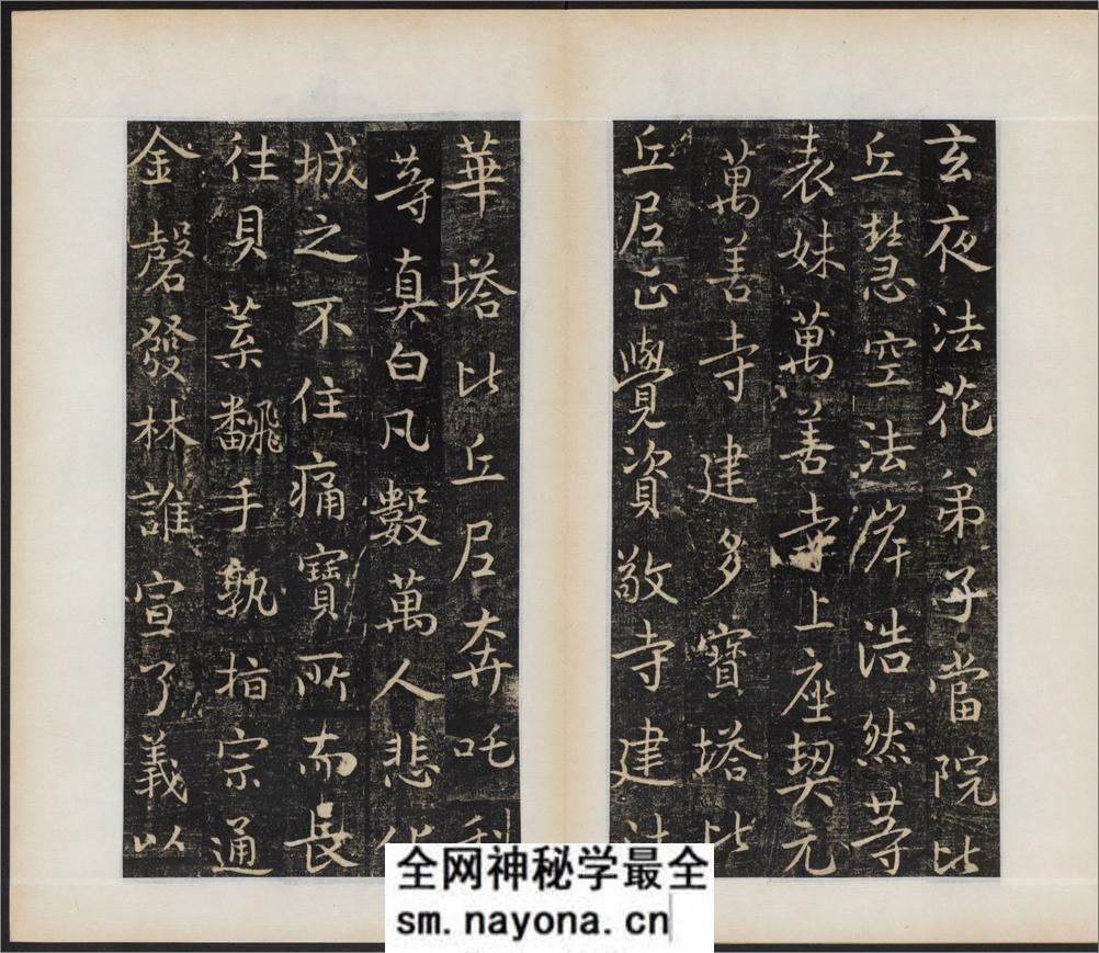 唐国师千福寺多宝塔院故法华楚金禅师碑.唐释飞锡撰.唐吴通书.民国拓本 - 第15页预览图