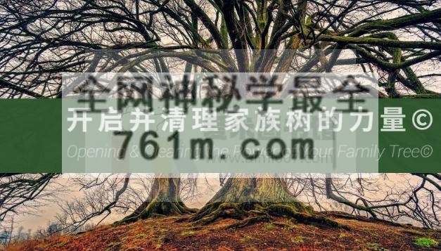家族树课程第二部分
