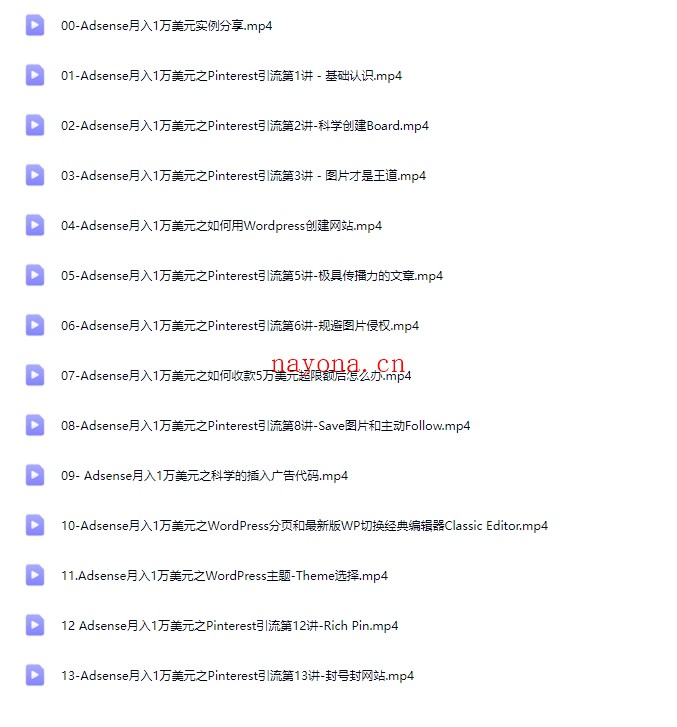 Google Adsense月入1万美元中文视频教程【Ag-0160】