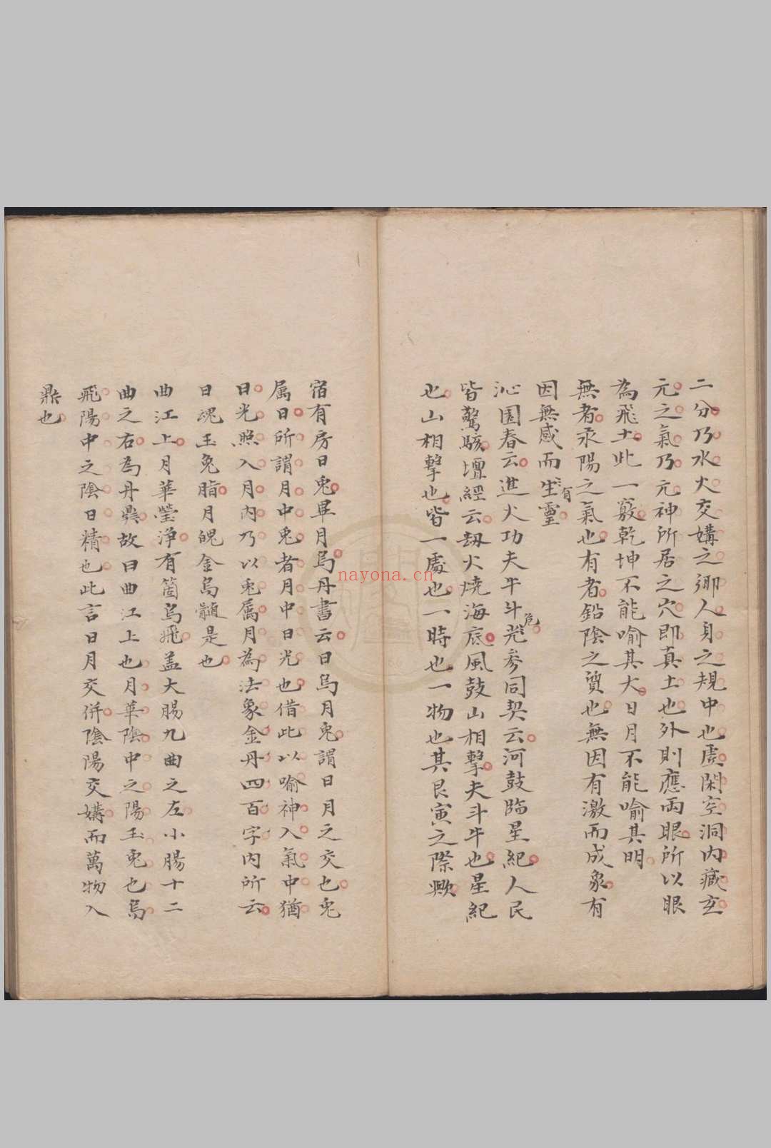 玄宗秘旨一卷(抄本,(明)张一元