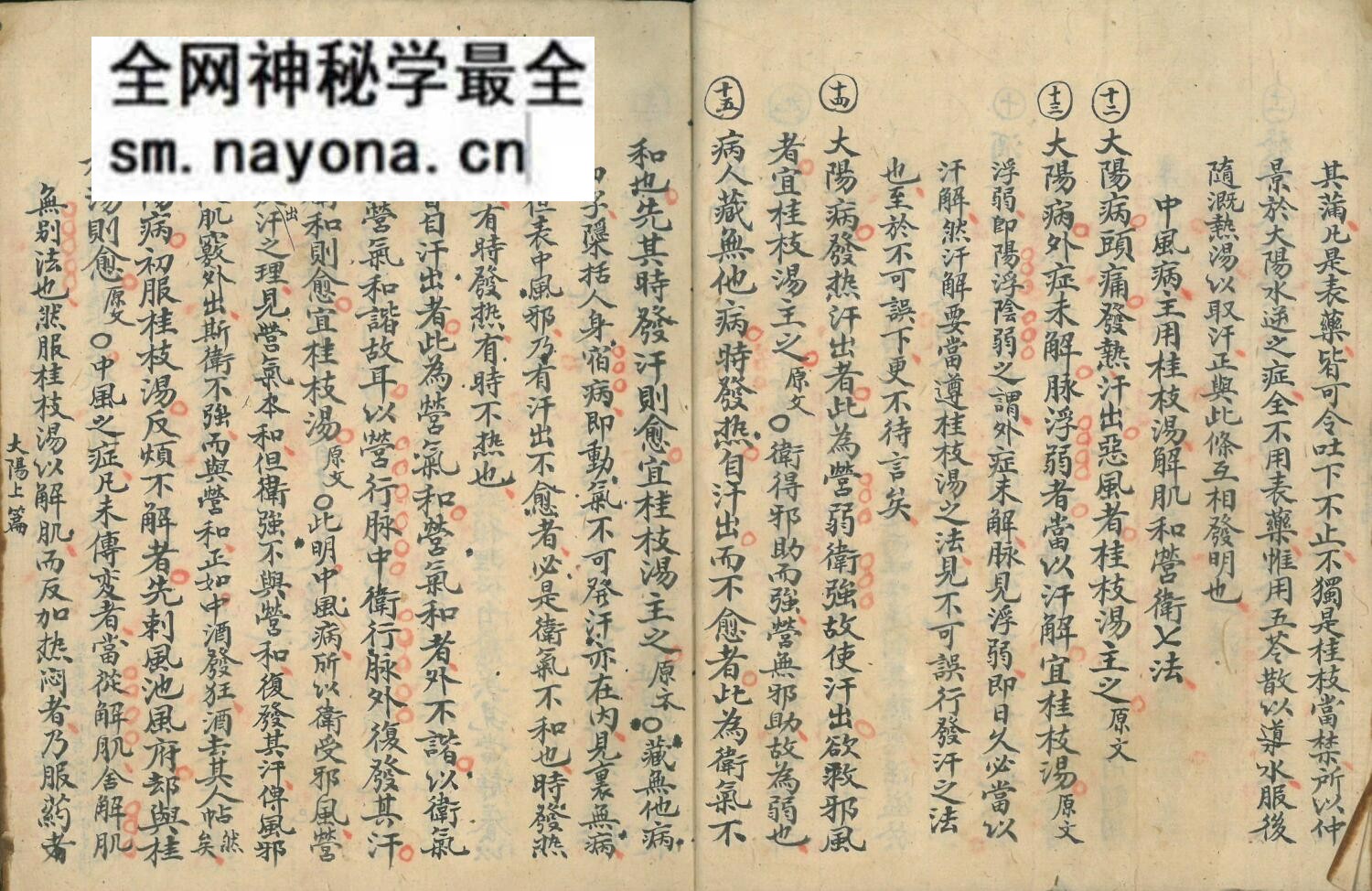 伤寒古籍《伤寒集论》张希成