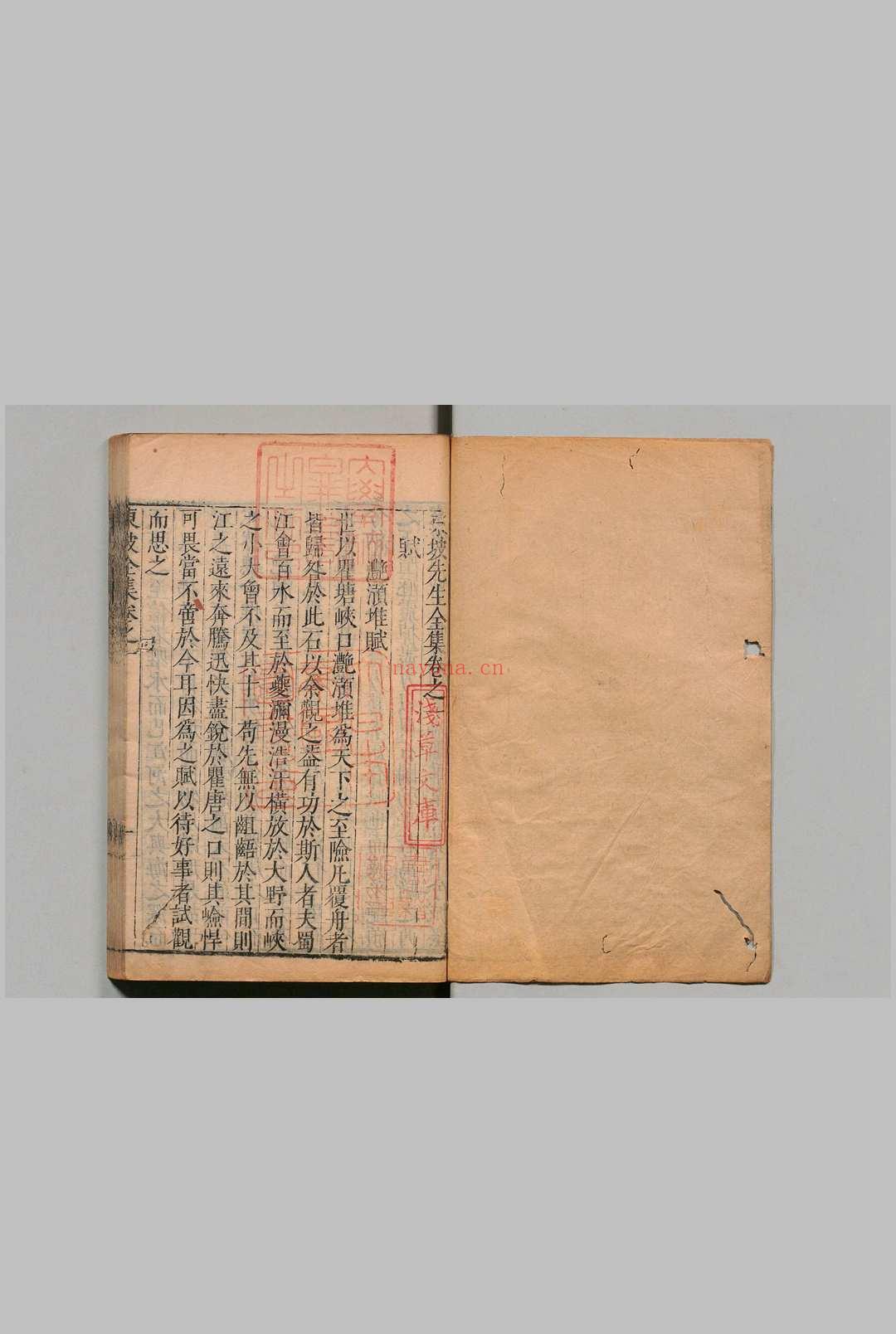 东坡先生全集 75卷 东坡先生年谱1卷 苏轼(宋)王宗稷(宋)清邵长衡重订 明刊本
