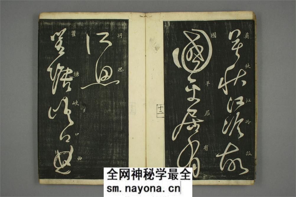 (唐)怀素草书秋兴八首(日延保版) - 第14页预览图