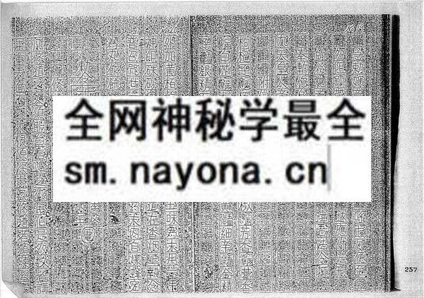 乐善坛做法符书 （只售电子版）