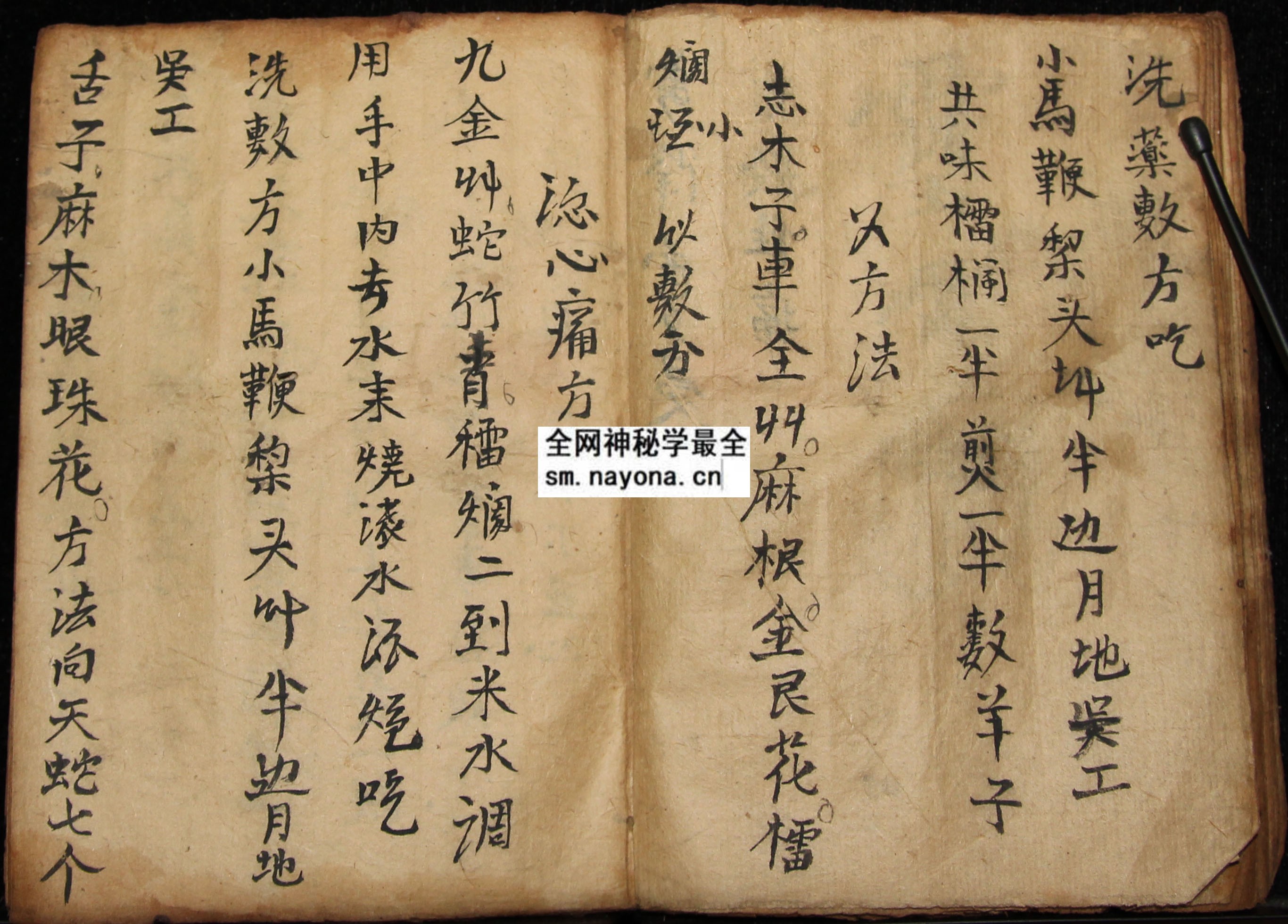 1747987907165162.jpg 化身符科 (电子版)