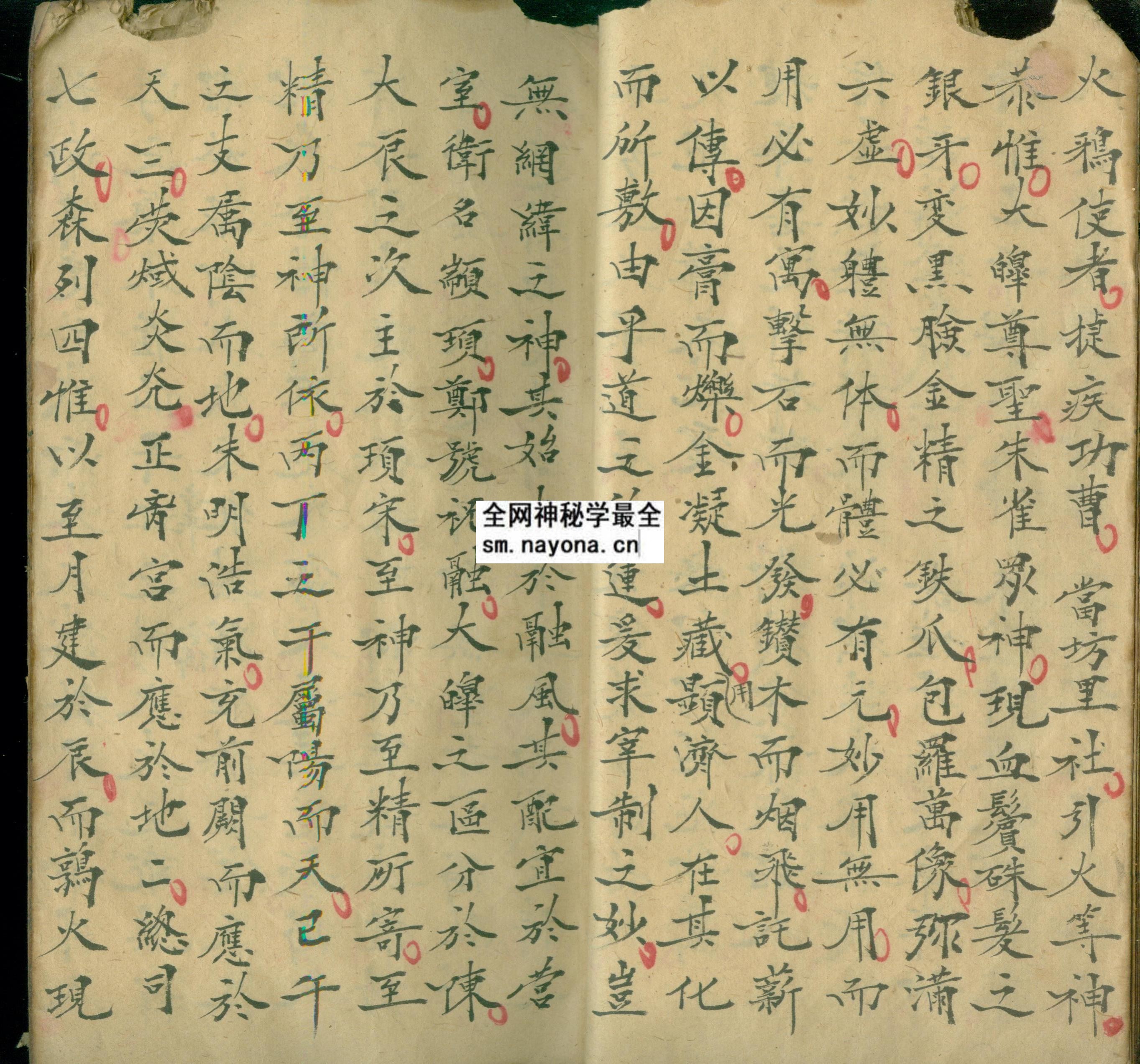 火龙丹天  （原书）