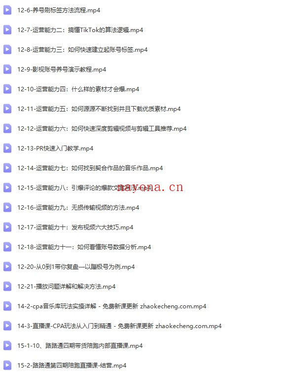 从0基础到精通进阶TikTok账号运营到变现【Ad-0017】