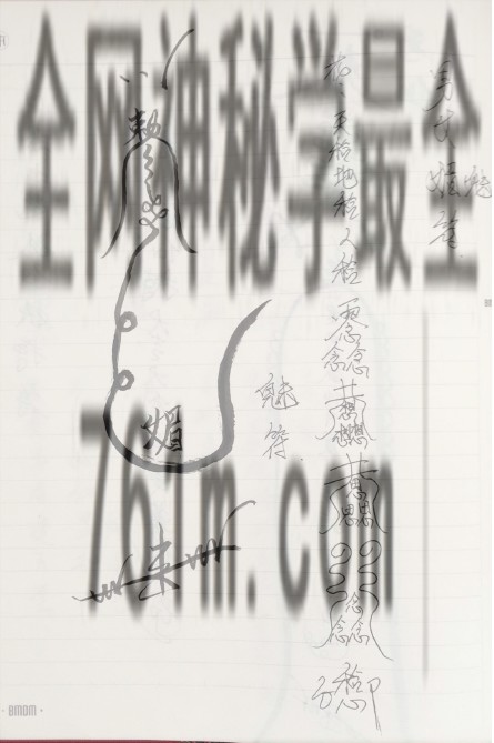 狐仙法派 28页 pdf 百度云下载