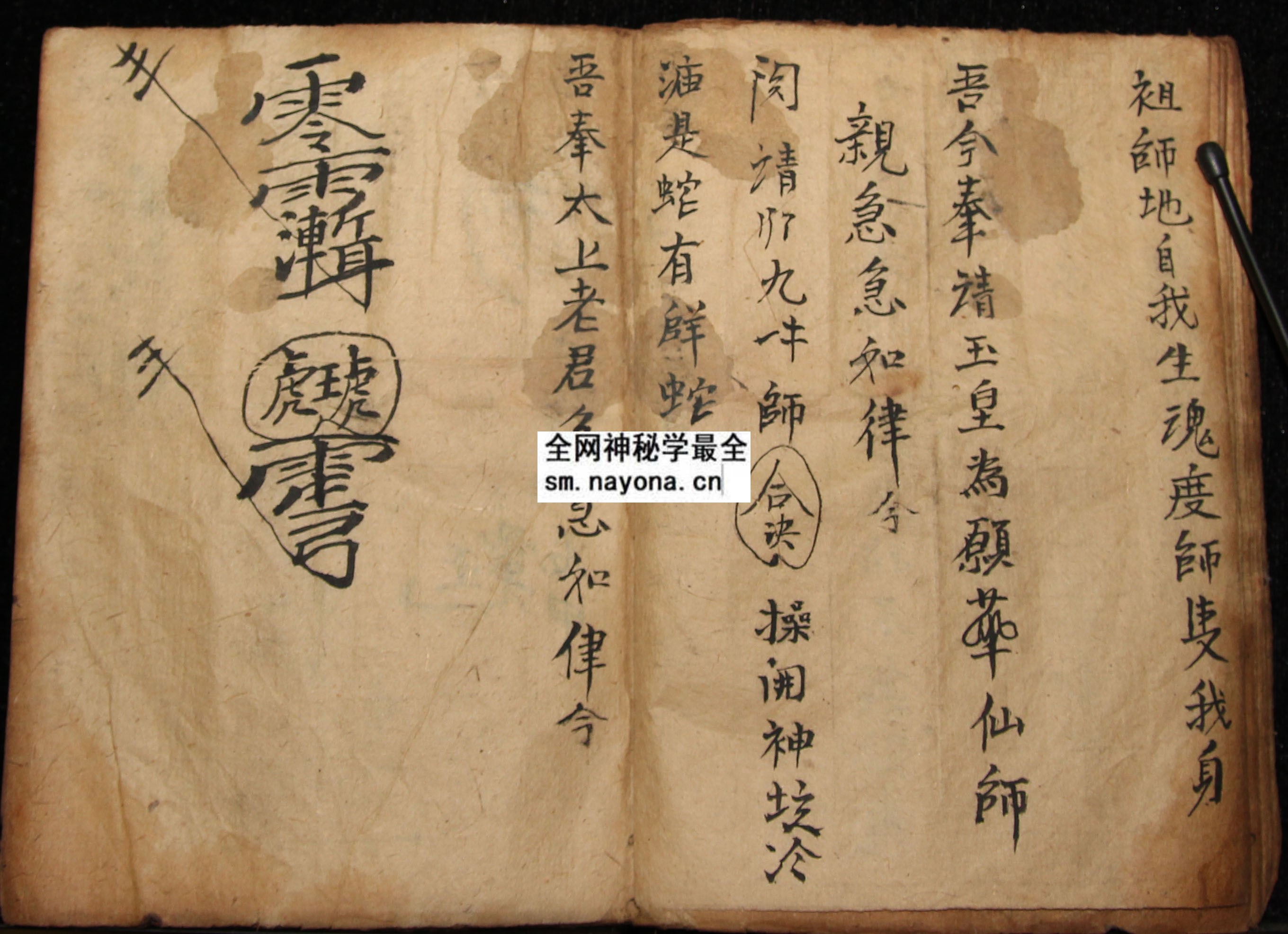 1747987902423567.jpg 化身符科 (电子版)