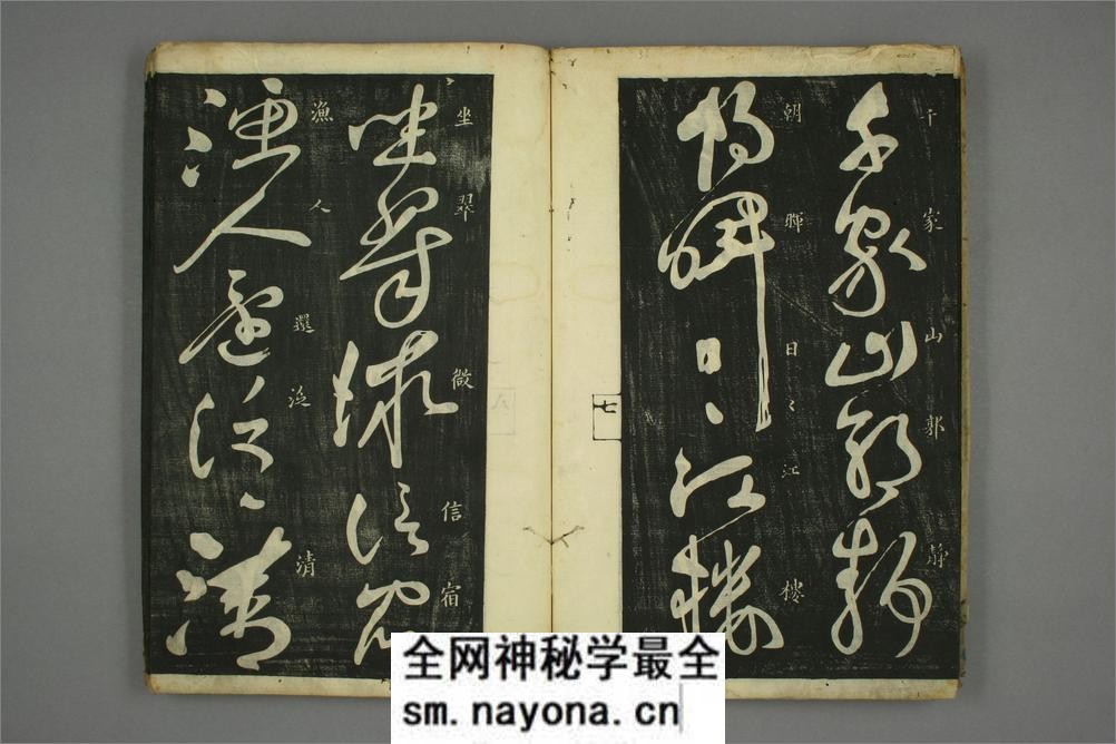 (唐)怀素草书秋兴八首(日延保版) - 第9页预览图