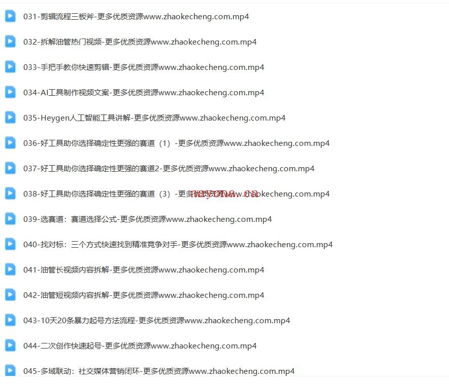 跨境油管YouTube线上营【Ag-0079】