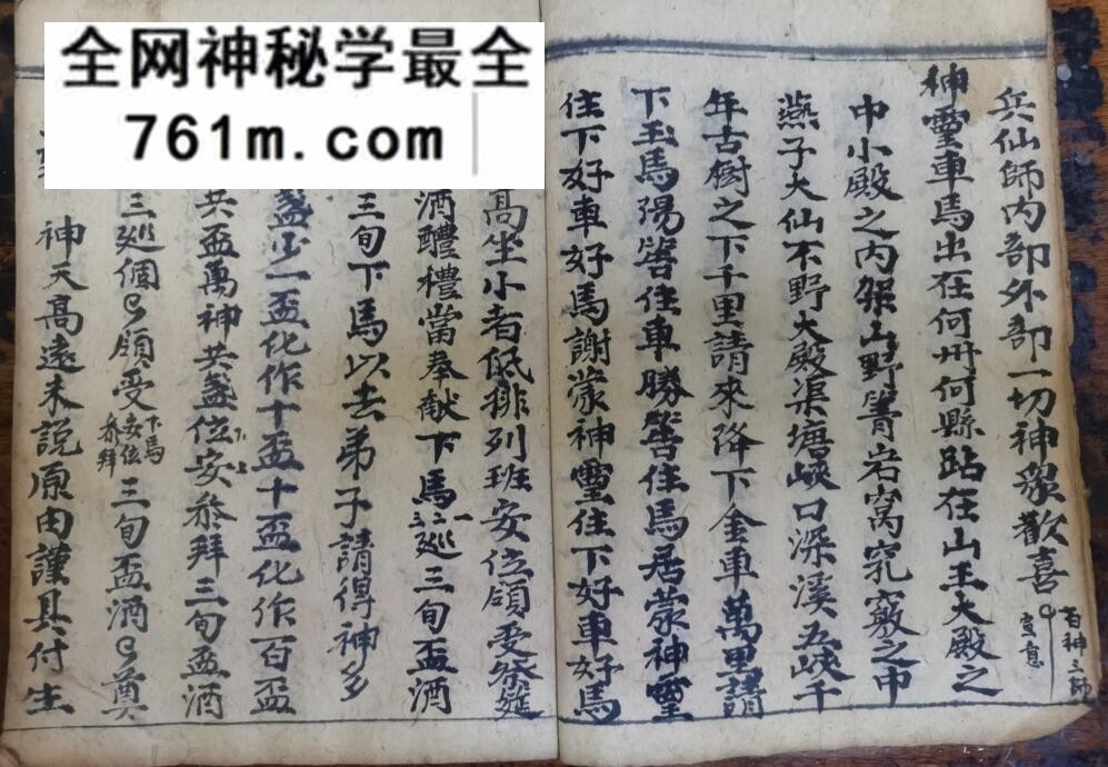 《祭矛神科》