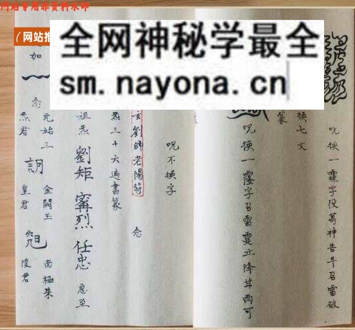 《 洞神刘天君神霄雷法集》
