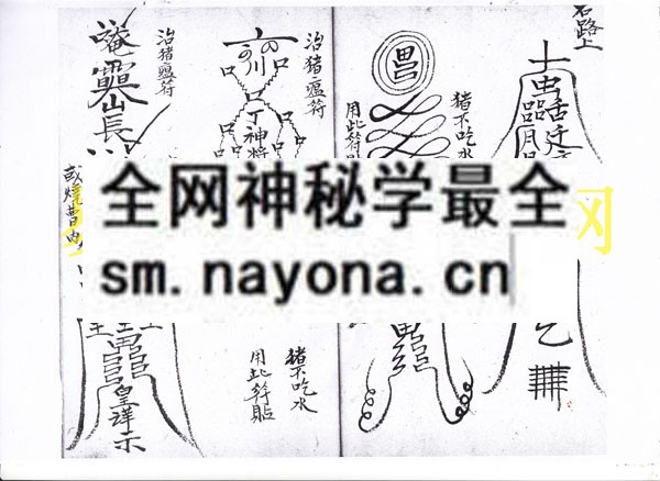 1742973218913631.jpg 符讳科 (电子版)