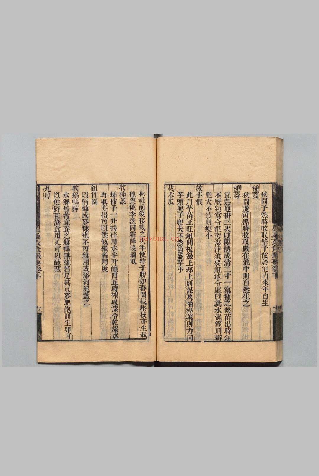 珠丛别录  钱熙祚 清刊本